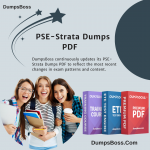 PSE-Strata Dumps PDF